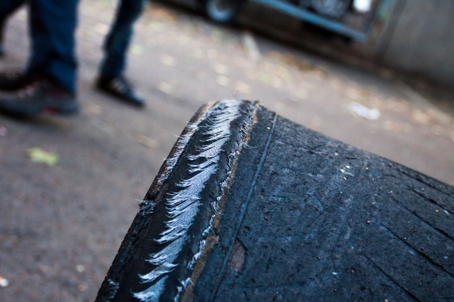 009 rallye botafumeiro 020